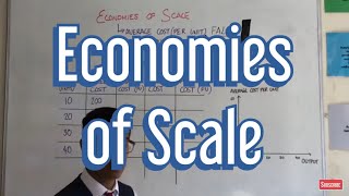 Economies of Scale [upl. by Ellehcal]