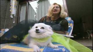 Man bijt hond Dutch Madonna [upl. by Queen]