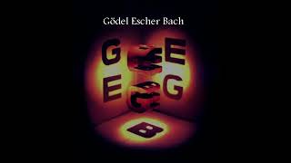 Unlocking Genius The 5 Minute Summary of Gödel Escher Bach [upl. by Enylekcaj1]