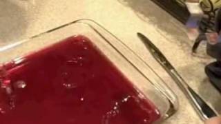 How to Make Finger Jello aka Knox Blox [upl. by Schild295]