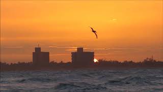 Fin de journée au Club Los Delfines Varadero [upl. by Aeslehs]