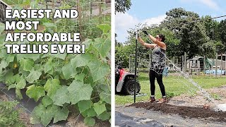 The Easiest DIY Garden Trellis Ever [upl. by Alair]