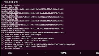 Recovery Bitcoin Private Key  Get Private Key From RSZ Value [upl. by Salocin]