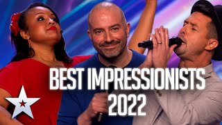 BEST Impressionists  Auditions  Britains Got Talent [upl. by Aitat]