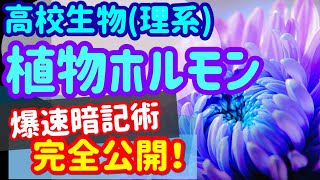 【高校生物62】【植物ホルモンの分類】を宇宙一わかりやすく [upl. by Stephenie]