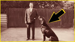 8 Extinct Dog Breeds You Never Knew Existed  UNKNOWN FACTS [upl. by Sheya]