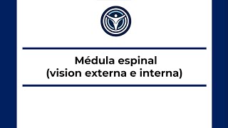 S3  Médula Espinal Visión externa e interna  IMS Nervioso 2023 [upl. by Thisbee]