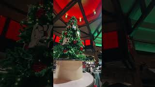 shorts The holiday decor we saw around waltdisneyworld  merrychristmas disneychristmas [upl. by Yrtsed]