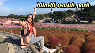 Hitachi Seaside Park [upl. by Aerdnna]