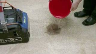 How to Clean Carpet Spills Management [upl. by Ilehs42]