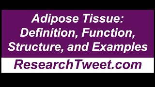 Adipose Tissue Definition Function Structure and Examples [upl. by Westberg930]