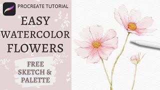 How to Paint Watercolor Cosmos Flowers in Procreate  Realistic Watercolor Floral Procreate Tutorial [upl. by Lyred]