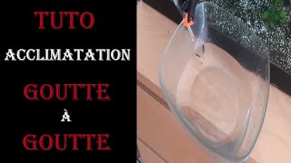 TUTO Acclimatation goutte a goutte [upl. by Lorolla]