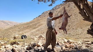 Iran nomadic life Jahangirs journey to pastures and a butchery to prepare meat in the mountains [upl. by Florian]