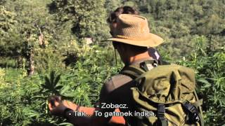 Strain Hunters Morocco Polish Subtitles [upl. by Bergin]