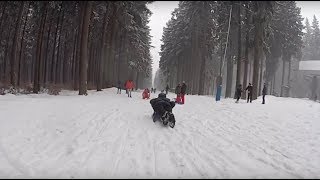 Rodelbahn an der Wurmbergseilbahn Braunlage im Harz [upl. by Girhiny643]