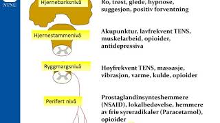 analgetika [upl. by Aneahs]