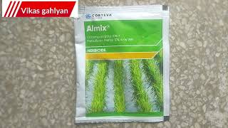 CORTEVA ALMIX HERBICIDE  Almix herbicide  metsulfuron methyl 10 wp chlorimuron ethyl 10wp [upl. by Nadabb993]