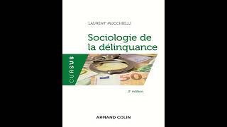 Sociologie de la délinquance  Laurent Mucchielli [upl. by Yadsnil]