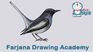 How to draw Magpie step by step very easy [upl. by Hanfurd]