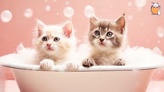 RELAXING CAT MUSIC and kittens  Sleep Music For Cats  Sleepy Cat [upl. by Russo635]