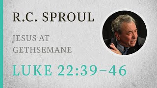 Jesus at Gethsemane Luke 2239–46 — A Sermon by RC Sproul [upl. by Ardnos]