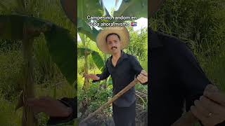 Campesinos en Cuba 🇨🇺👨‍🌾 Ravelo Humor Cubano [upl. by Anniroc]