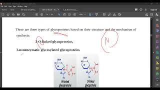 L29 Glycoproteins amp Proteoglycans [upl. by Yllek748]