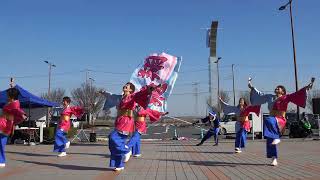 よさこい飛翔 ♪夢叶う空へ【4KAPSC】／よさこい第1部／新舞踊ampよさこい 祭りだ！和っしょい in 道の駅いたこ [upl. by Aloek]