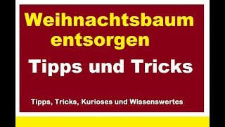 Weihnachtsbaum Tannenbaum Christbaum legal entsorgen Tipps  Tricks [upl. by Scottie]