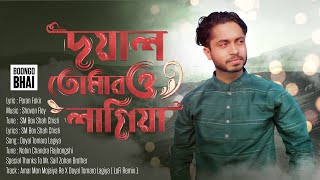 Amar Mon Mojaiya Re amp Doyal Tomaro Lagiya  LoFi Remix  Lyrics  banglasong banglafolksong [upl. by Fox]