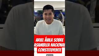 ARIEL ÁVILA SOBRE LA PROPUESTA DE PETRO DE LA ASAMBLEA NACIONAL CONSTITUYENTE [upl. by Enyallij]