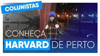 Conheça Harvard de Perto Um tour pela universidade mais famosa do mundo [upl. by Tima1]