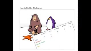 How to build a Cladogram 148 [upl. by Nevak]