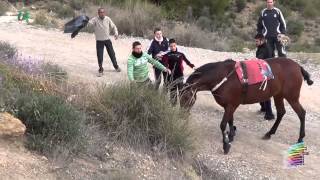 II Convivencia Caballos del Vino  Caravaca de la Cruz 23022013 [upl. by Eada285]