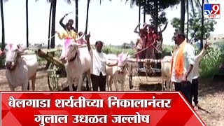 Sangli  बैलगाडा शर्यतीच्या परवानगीबाबत सुप्रीम कोर्टाचा अंतिम निकाल सांगलीत जल्लोष [upl. by Nylirehs]