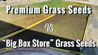 Premium vs Inexpensive Grass Seeds  Is it worth it [upl. by Kettie]