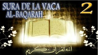 Sura de la Vaca Al baqarah [upl. by Heyer677]