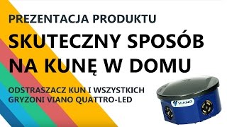 Skuteczny sposób na kunę w domu Jak pozbyć się myszy i szczurów [upl. by Clarisse482]