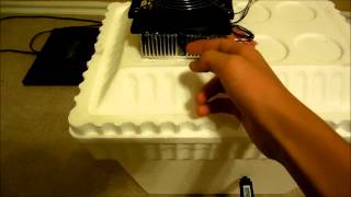 DIY Thermoelectric Peltier Mini Fridge [upl. by Laurella]