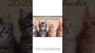 Cat Desktop Calendar Cat Desk Calendar 2025 Desk Calendar Kitten Calendar Cat Calendar Kitty [upl. by Zeidman]