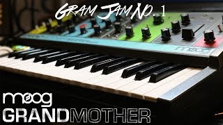 Moog Grandmother  Gram Jam No 1 [upl. by Mariejeanne]