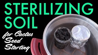 How to Sterilize Soil for Cactus Seed Starting pressure cooker amp microwave oven [upl. by Codie]