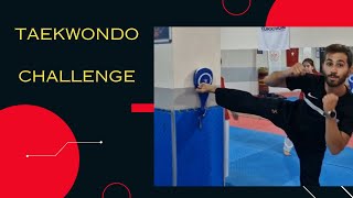 TAEKWONDO DUVAR CHALLENGE 🔥🥋 challenge taekwondo [upl. by Asiulairam]