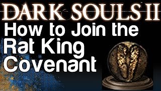 How to Join the Rat King Covenant  Dark Souls 2 Gnawing Covenant Achievement  WikiGameGuides [upl. by Bechler284]