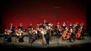 WIENERKLASSIK ORCHESTER  VIENNA CLASSIC ORCHESTRA Wiener Blut  Duett wwwwienerklassikat [upl. by Halehs]