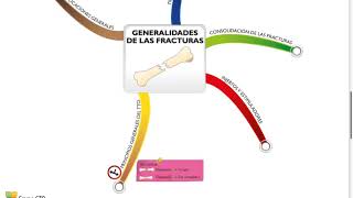 Mapas mentales traumatologia  Generalidades de las fracturas [upl. by Pollock20]