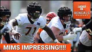 Will Amarius Mims Start For Cincinnati Bengals  NFL Training Camp [upl. by Kipp]