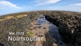 Pêche du bar à marée basse sur lîle de Noirmoutier [upl. by Nhguaved420]