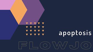 FlowJo APOPTOSIS ANALYSIS [upl. by Ofloda]